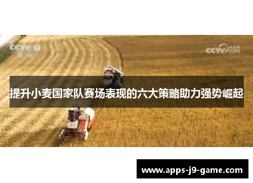 提升小麦国家队赛场表现的六大策略助力强势崛起