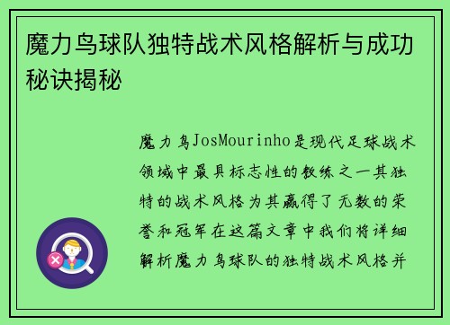 魔力鸟球队独特战术风格解析与成功秘诀揭秘