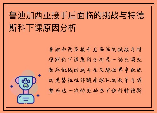 鲁迪加西亚接手后面临的挑战与特德斯科下课原因分析