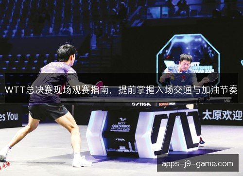 WTT总决赛现场观赛指南，提前掌握入场交通与加油节奏